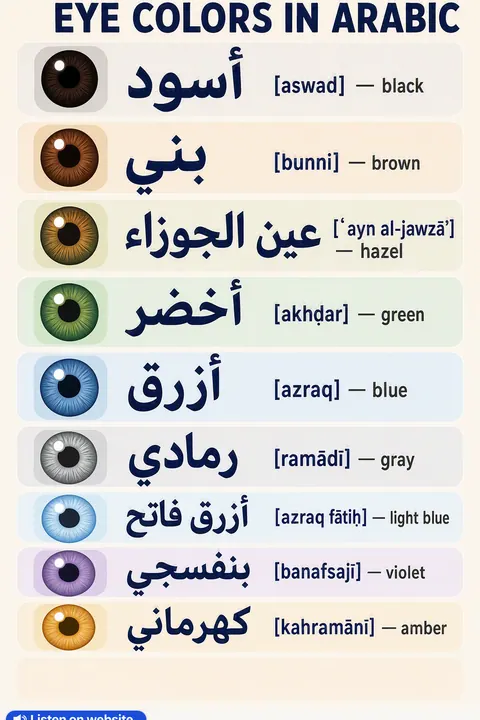 Eye colors in Arabic vocabulary chart