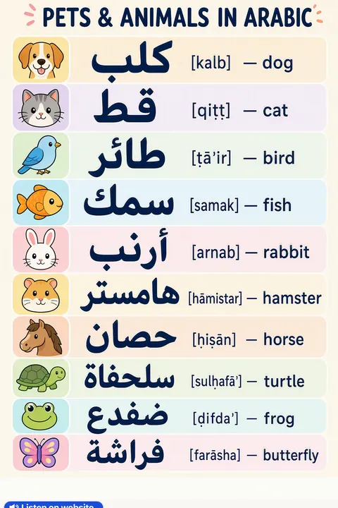 Pets & animals in Arabic vocabulary chart