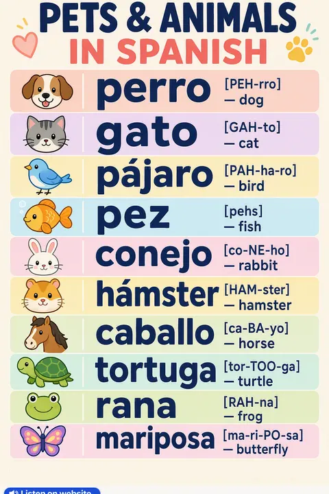 Pets & animals in Spanish vocabulary chart