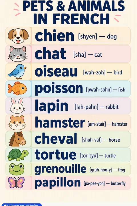 Pets & animals in French vocabulary chart