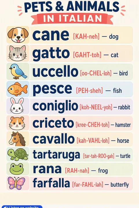 Pets & animals in Italian vocabulary chart