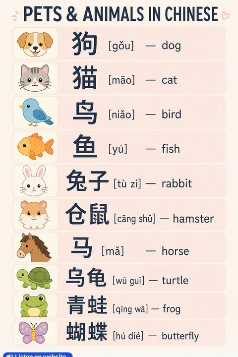 Pets & Animals in Chinese vocabulary chart