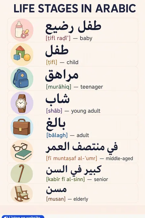 Life stages in Arabic vocabulary chart