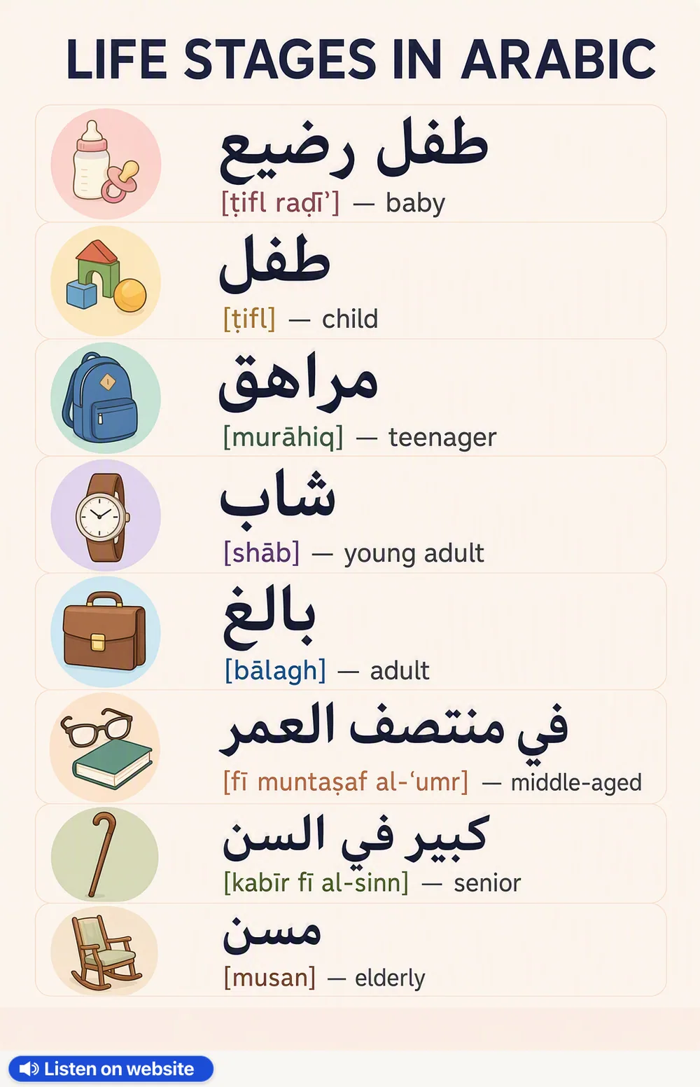 Life stages in Arabic — vocabulary chart for English speakers