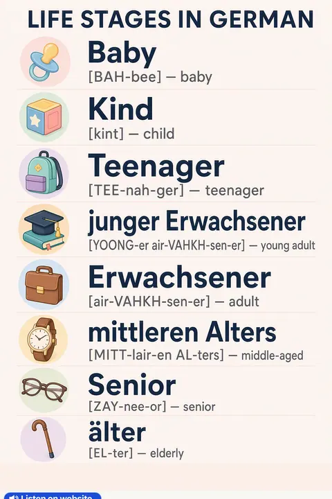 Life stages in German vocabulary chart