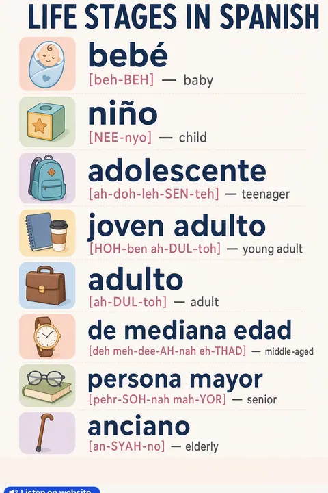 Life stages in Spanish vocabulary chart