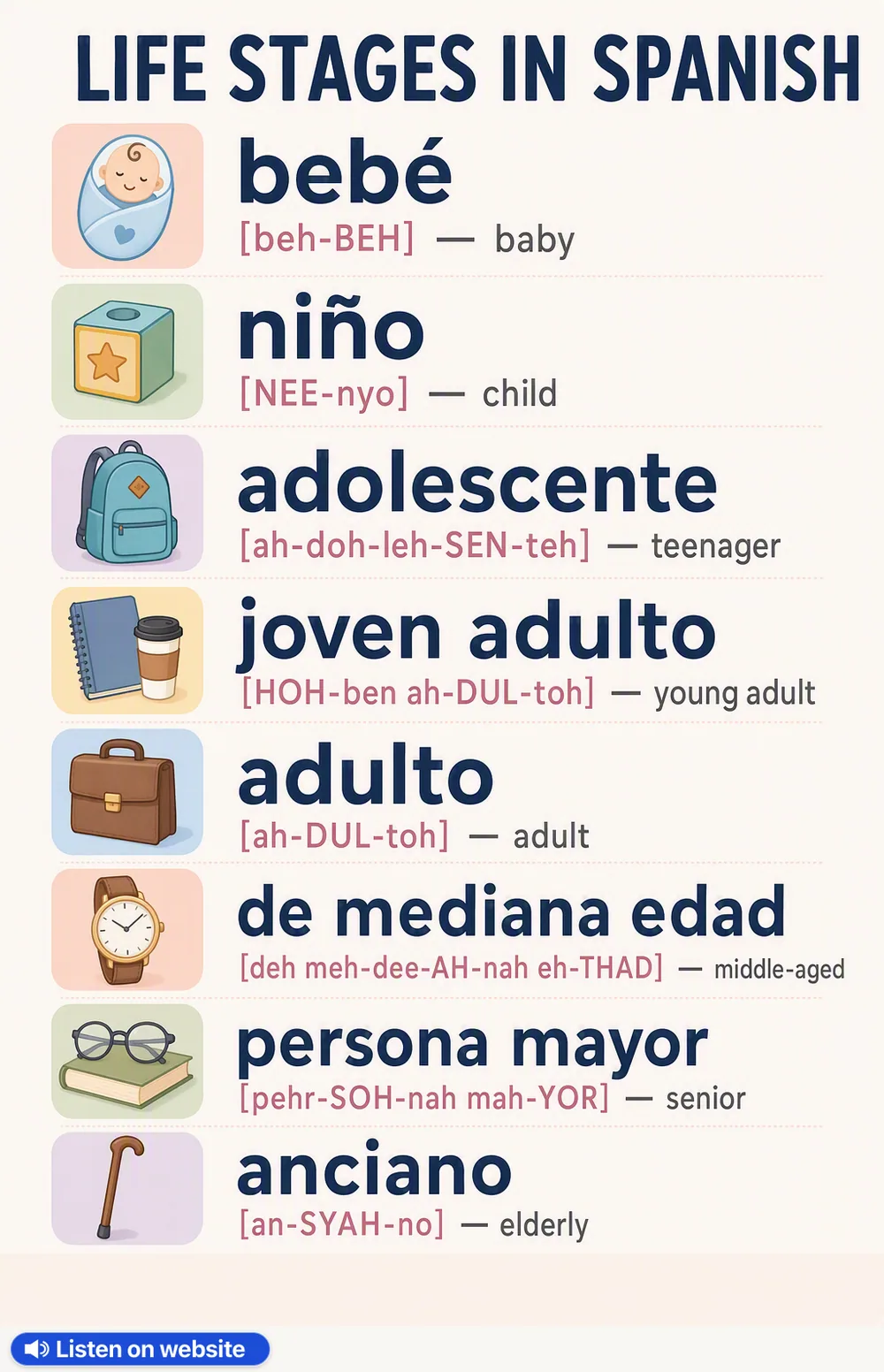 Life stages in Spanish — vocabulary chart for English speakers