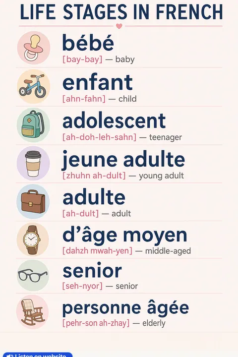 Life stages in French vocabulary chart