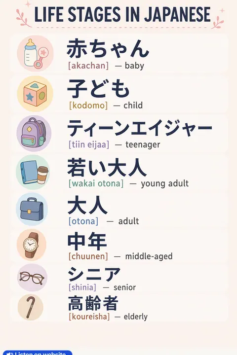 Life stages in Japanese vocabulary chart