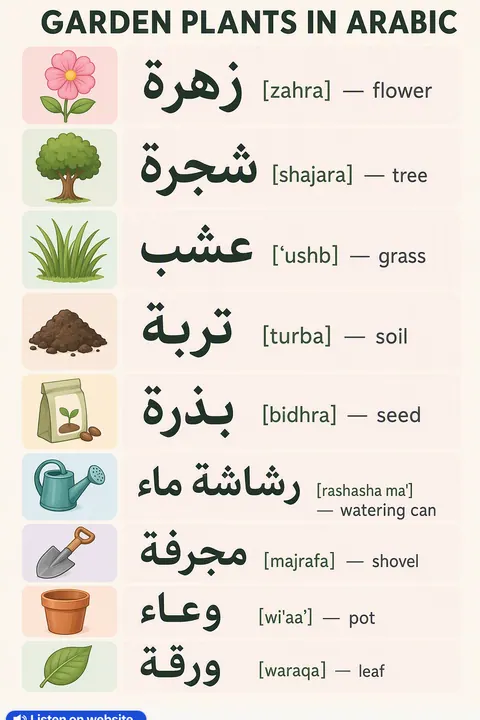 Garden plants in Arabic vocabulary chart