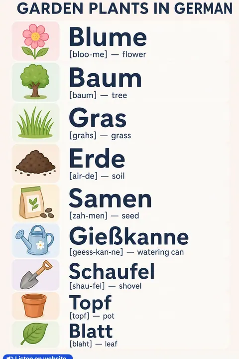 Garden plants in German vocabulary chart