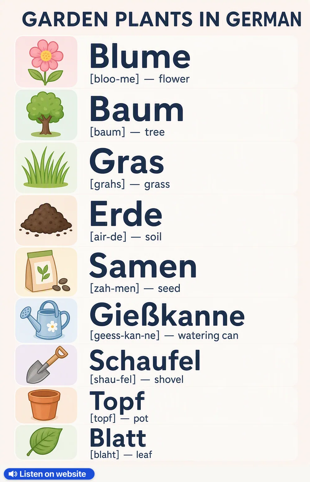 Garden plants in German — vocabulary chart for English speakers
