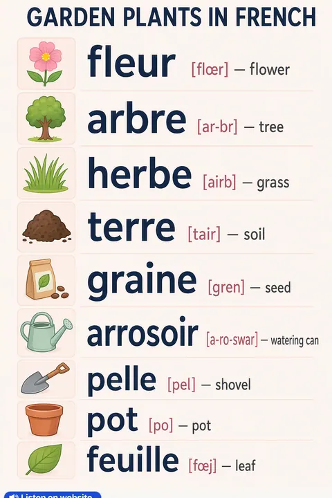 Garden plants in French vocabulary chart