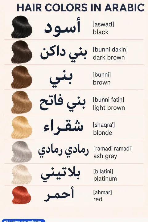 Hair colors in Arabic vocabulary chart