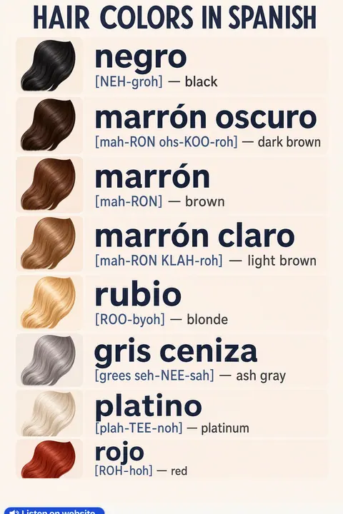 Hair Colors in Spanish vocabulary chart
