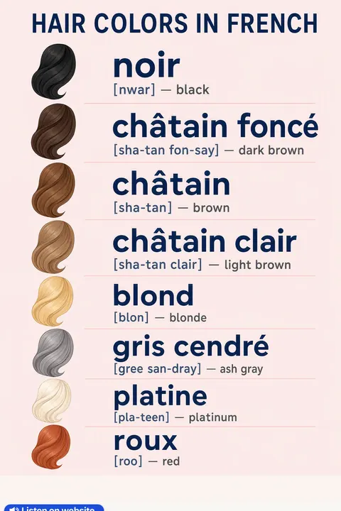Hair colors in French vocabulary chart