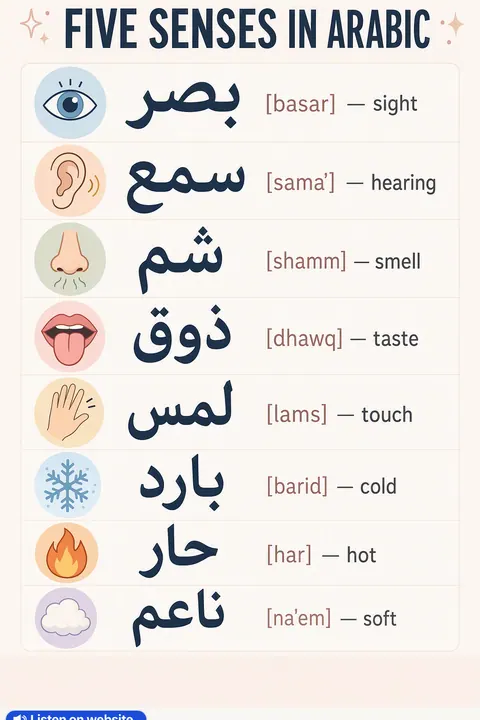 Five Senses in Arabic vocabulary chart