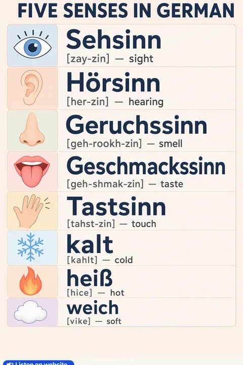 Five Senses in German vocabulary chart