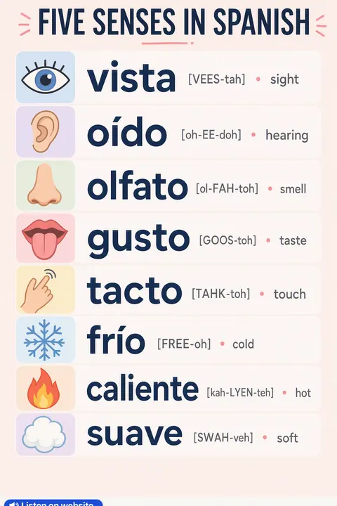 Five Senses in Spanish vocabulary chart