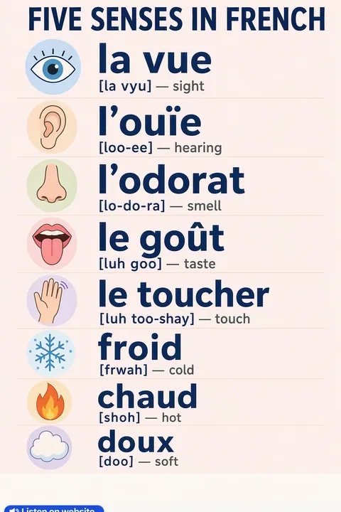 Five Senses in French vocabulary chart