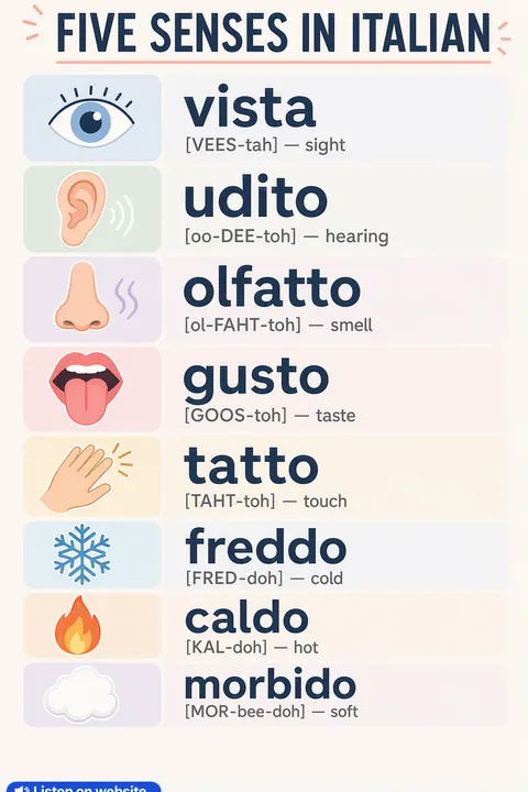 Five Senses in Italian vocabulary chart