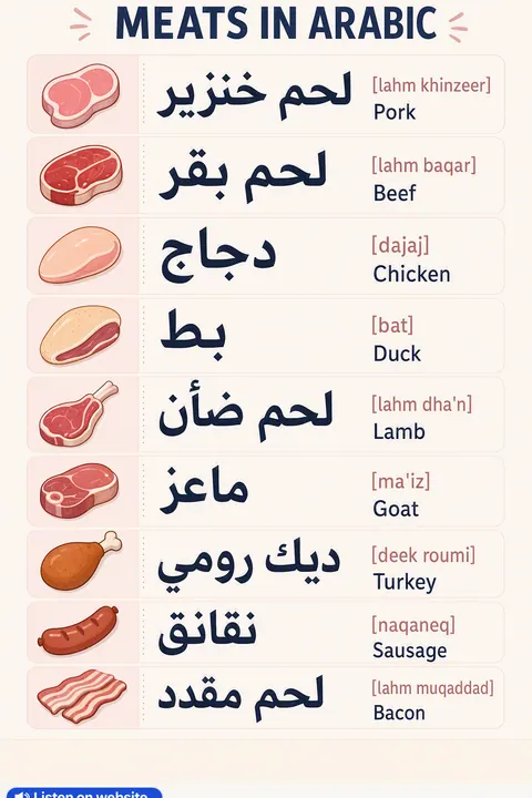 Meats in Arabic vocabulary chart