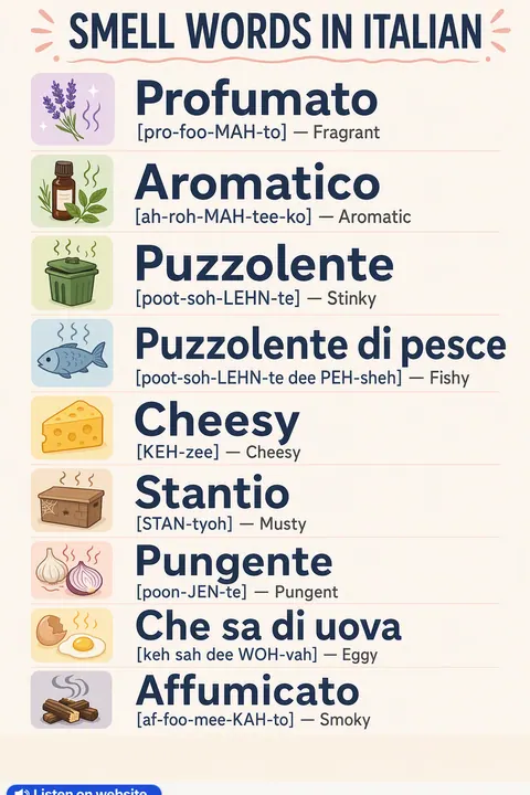 Smell in Italian vocabulary chart