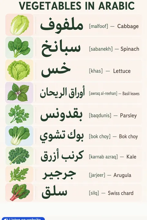 Vegetables in Arabic vocabulary chart