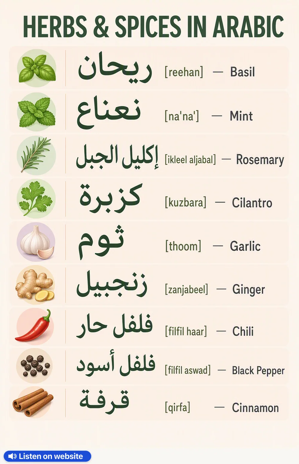 Herbs & Spices in Arabic — vocabulary chart for English speakers