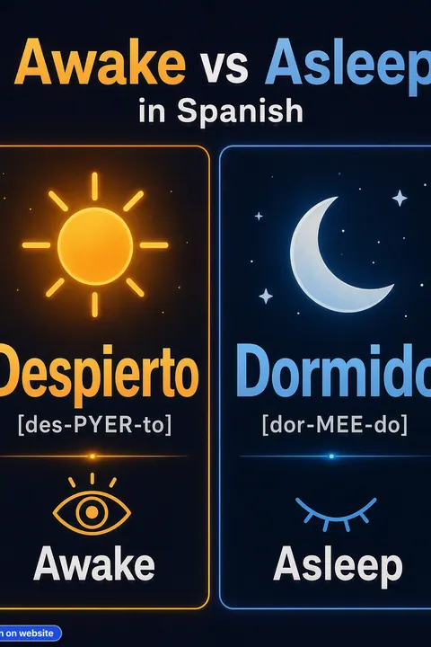 Awake vs Asleep in Spanish vocabulary chart