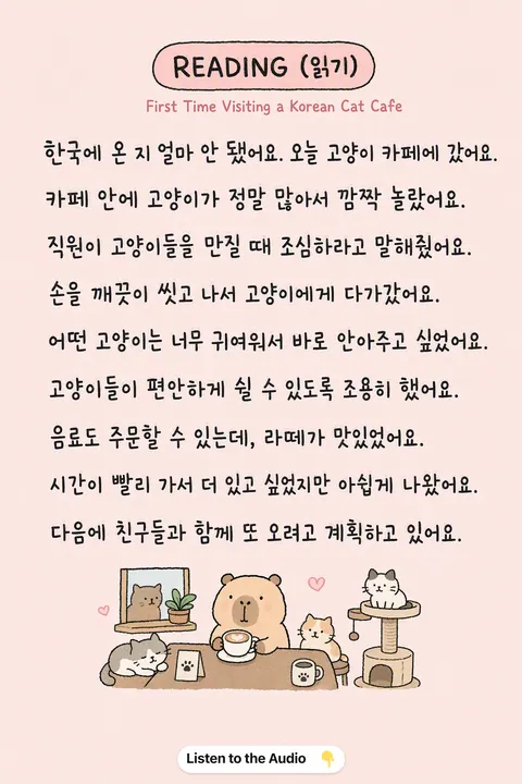 How to visiting a Korean Cat Cafe in Korean vocabulary chart