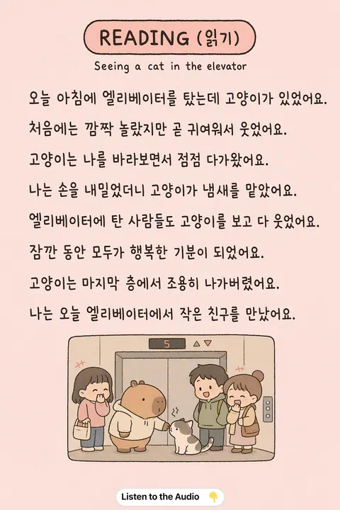 Seeing a cat in the elevator in Korean vocabulary chart