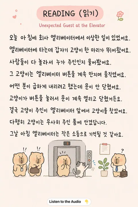 Unexpected Guest at the Elevator in Korean vocabulary chart