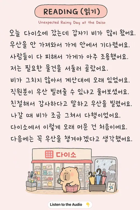 Unexpected Rainy Day at the Daiso in Korean vocabulary chart