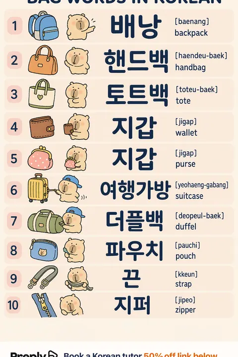 Bag in Korean vocabulary chart