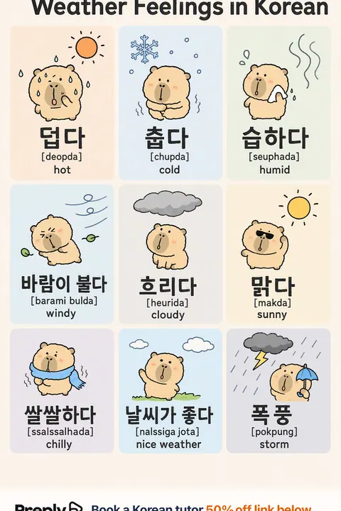Weather Feelings in Korean vocabulary chart