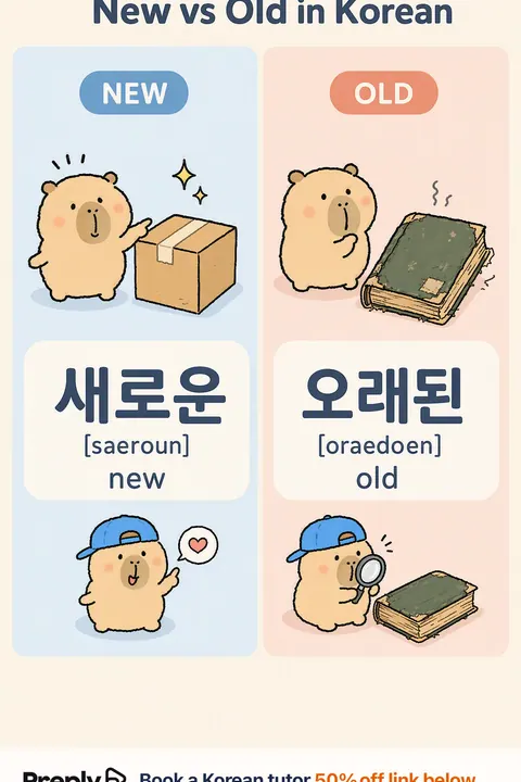 New vs Old in Korean vocabulary chart