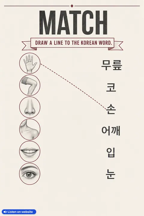 Which Body Part Is This in Korean vocabulary chart