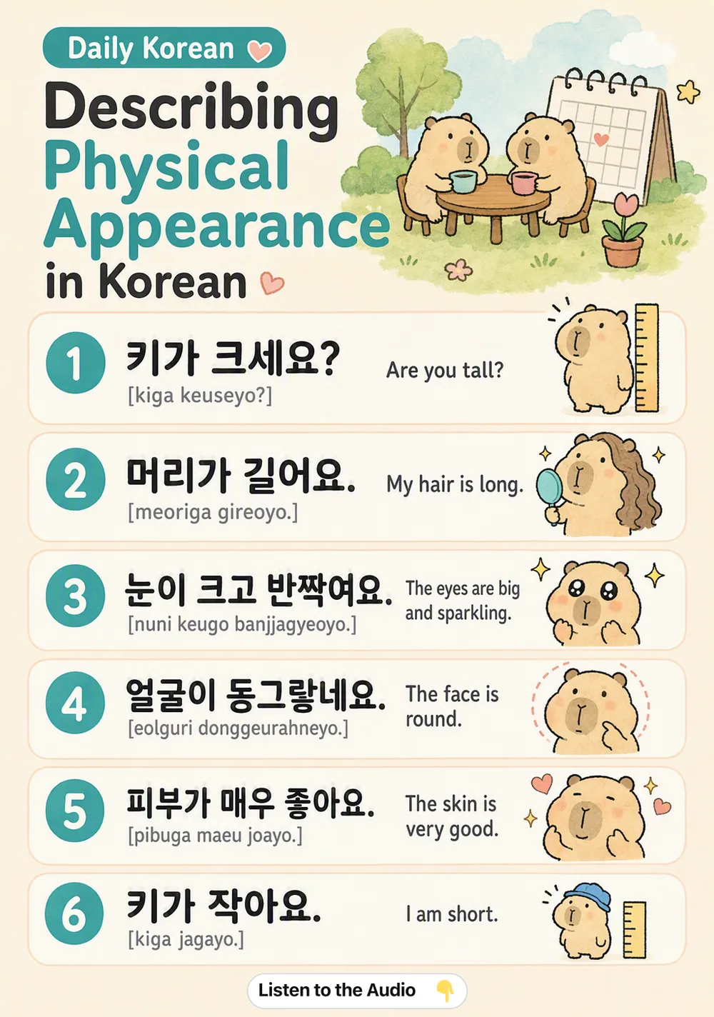 Describing Physical Appearance in Korean — vocabulary chart for English speakers