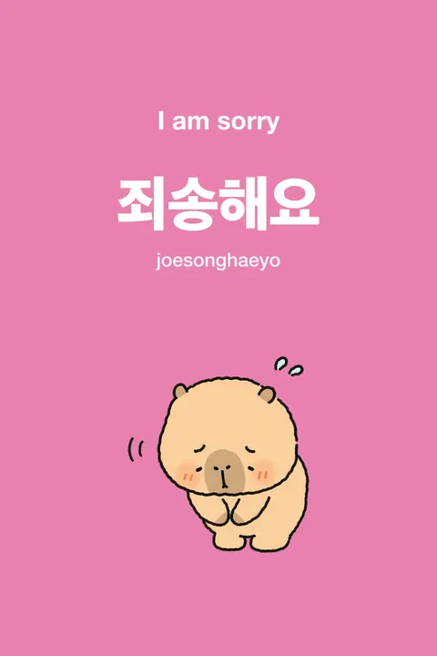 I Am Sorry in Korean vocabulary chart