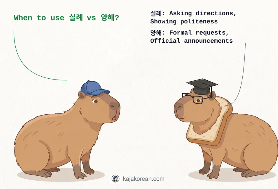 Comparison of Korean words 실례 and 양해 for politeness and understanding