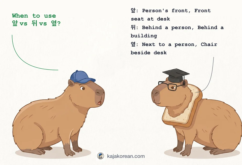 Comparison of Korean words 앞, 뒤, 옆 showing front, back, and side positions