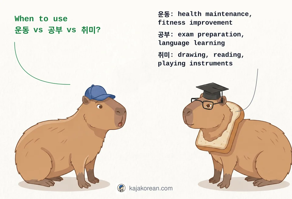 Comparison of 운동, 공부, and 취미 in Korean daily activities