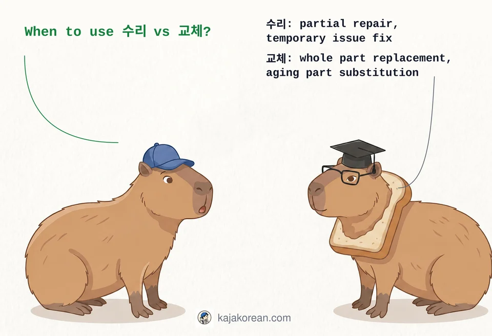 Comparison of Korean words 수리 and 교체 showing repair vs replace meanings