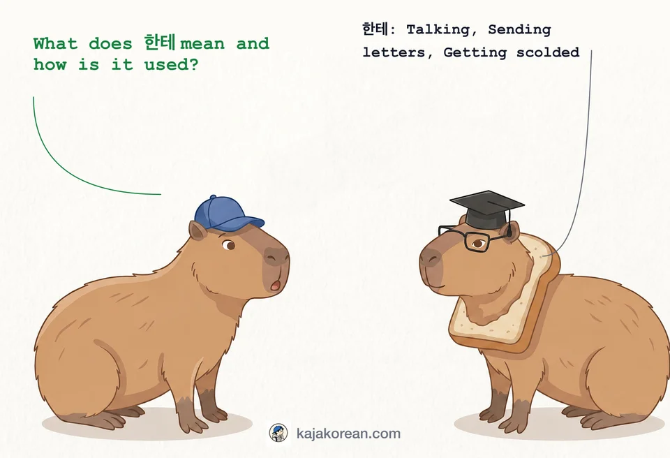 Korean particle 한테 usage guide