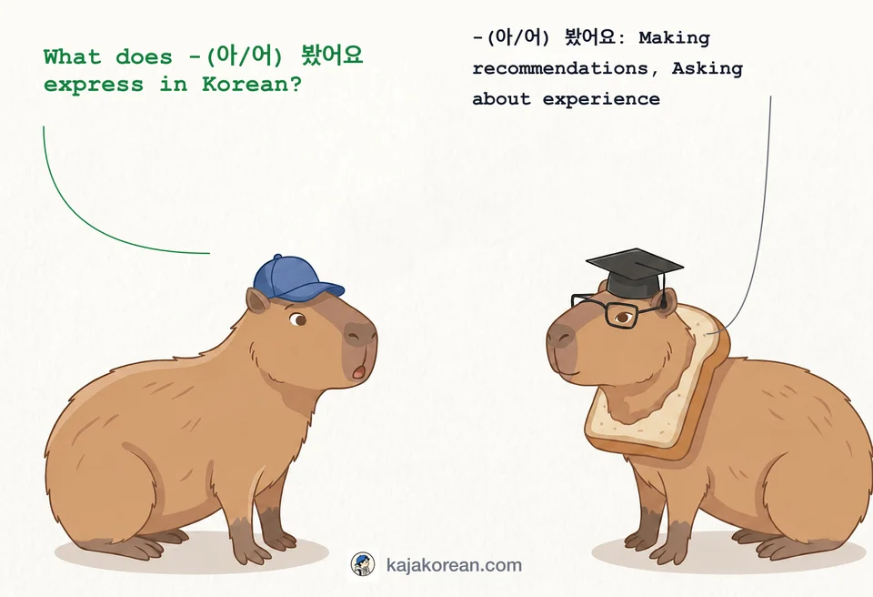 Korean language grammar guide for -(아/어) 봤어요 usage