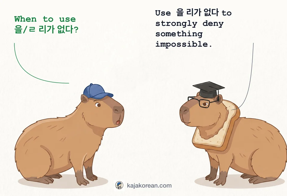 Example of Korean grammar -(으)ㄹ 리가 없다 usage
