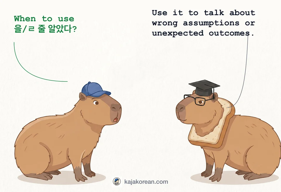 Explanation of how to use -(으)ㄹ 줄 알았다 in Korean
