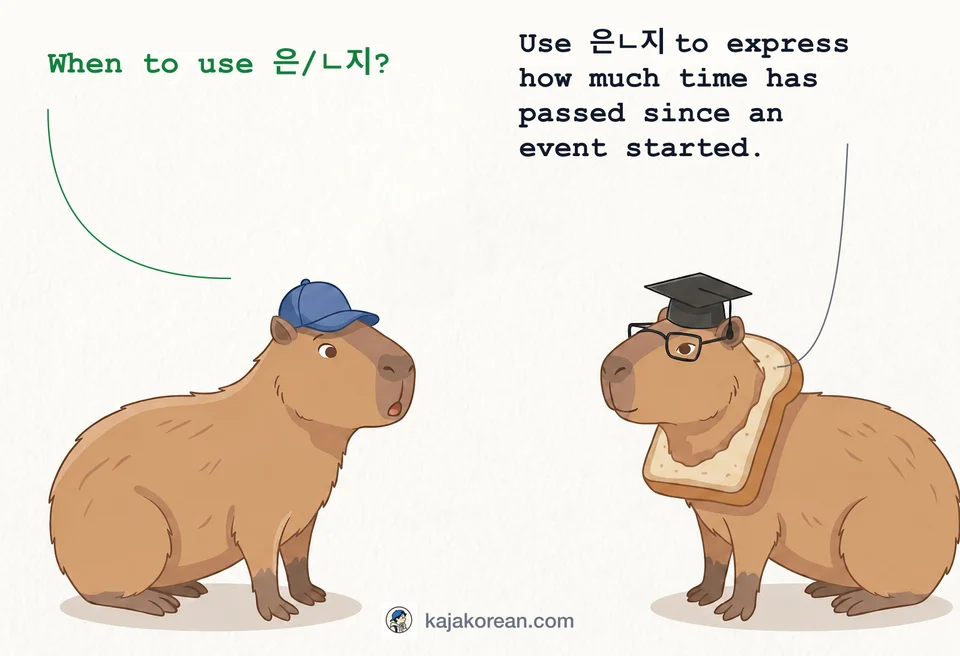 Korean grammar pattern 은ㄴ지 usage explanation