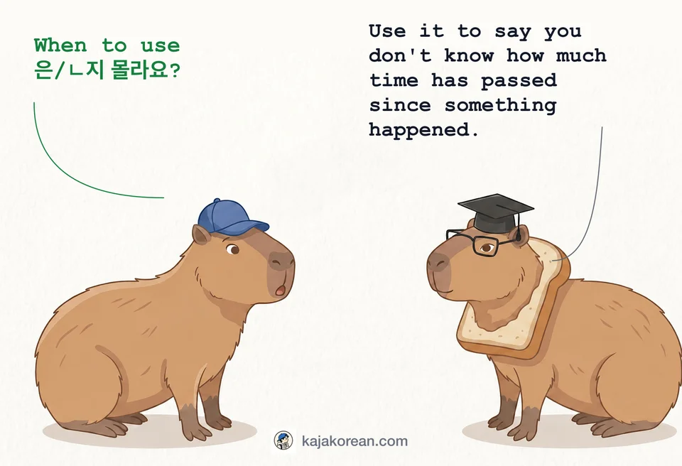Explanation of how to use -(으)ㄴ지 몰라요 in Korean